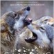 Les Saisons l Bande Annonce