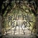 Beautiful Creatures