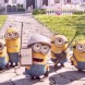 Les Minions au cin�ma avant Comme des b�tes