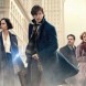 Les Animaux Fantastiques | Pas 1 mais 5 films !