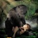 Tarzan