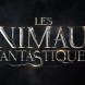 Les Animaux Fantastiques