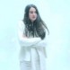 White Bird a Blizzard