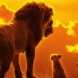 Le Roi Lion  l'affiche de notre calendrier de juillet