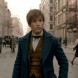 Les Animaux Fantastiques 2 : le synopsis r�v�l� ! 