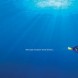 Le Monde de Dory l Nouvelle BA