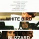 White Bird In A Blizzard