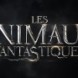 Bande-annonce 