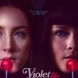 Violet & Daisy