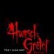 Hansel & Gretel: Witch Hunters