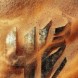 Transformers: l'Age de l'Extinction