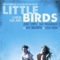 Little Birds