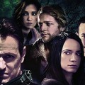 Trauma Therapy | Sortie