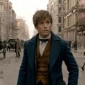 Le tournage des Animaux Fantastiques 2 d�s ao�t 2017