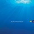 Le Monde de Dory l Nouvelle BA