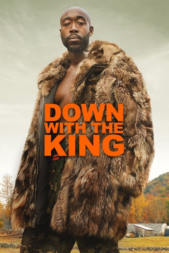 affiche Down with the King