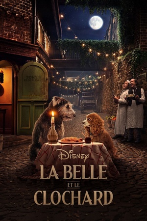 Affiche du film La Belle et le clochard